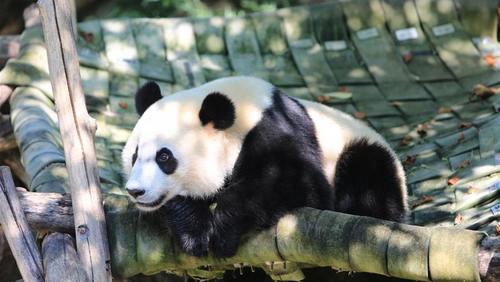 云交雨合是什么意思