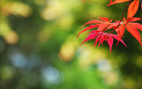 网游排行榜前十名网络游戏推荐 2023受欢迎的网游下载大全 网游排行榜前十名网络游戏推荐 2023受欢迎的网游下载大全
